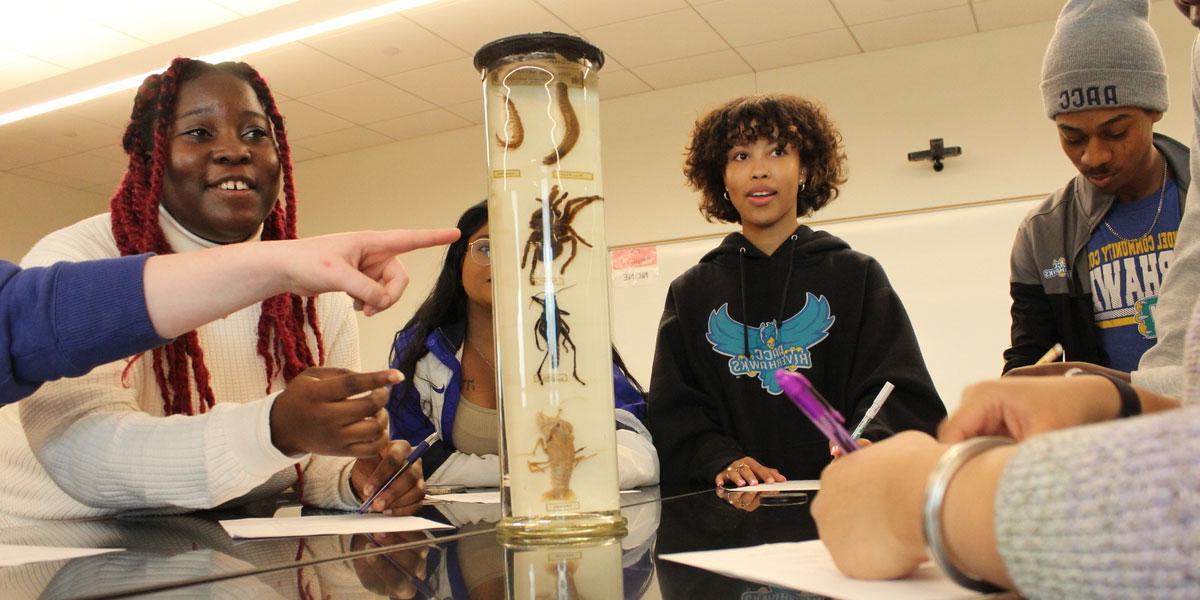 Students observing insects in tube.